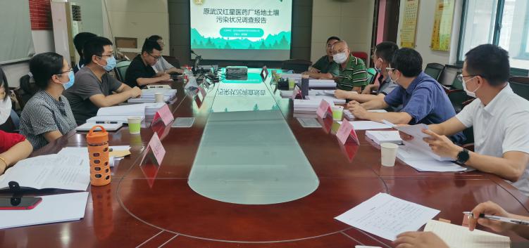 第三方環(huán)境咨詢服務經(jīng)典案例